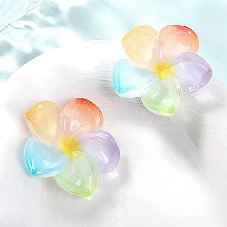 Transparent Resin Cabochons RESI-WH20001-32C-1
