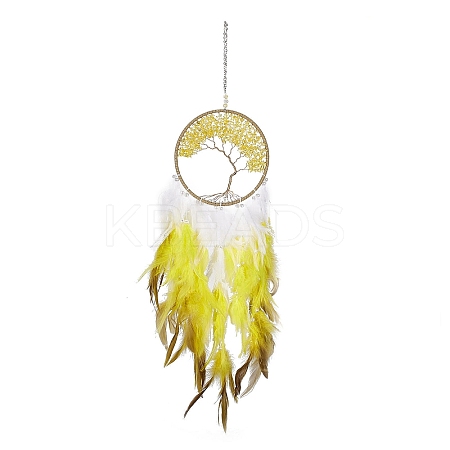 Iron Woven Web/Net with Feather Pendant Decorations AJEW-B017-12-1