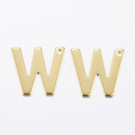 304 Stainless Steel Charms LS-X-STAS-P141-W-1