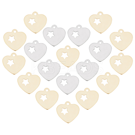 304 Stainless Steel Charms STAS-UN0019-21-1