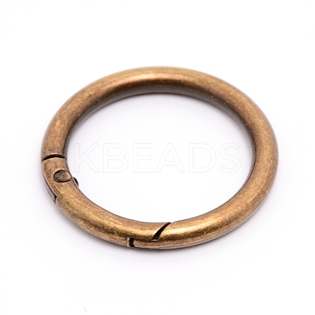 Alloy Spring Gate Rings AJEW-WH0129-48D-AB-1