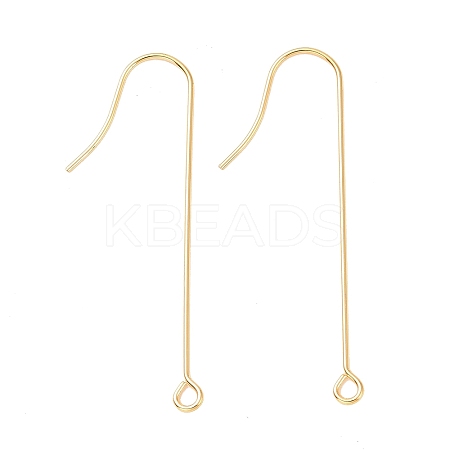 316 Surgical Stainless Steel Earring Hooks X-STAS-E027-02A-G-1