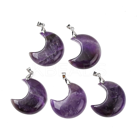 Natural Amethyst Pendants G-Z022-04C-01-1