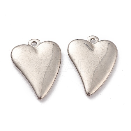 Non-Tarnish 304 Stainless Steel Pendants STAS-G244-23P-1