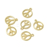 Rack Plating Brass Charms KK-C007-08G-1