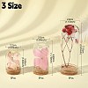 15Pcs 3 Styles Glass Dome Cloche Cover AJEW-YW0001-08-3