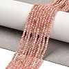 Natural Argentina Rhodonite Beads Strands G-B107-A04-01-1