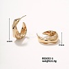 Shiny Women's Earrings with Hollow Design OK1604-2-1