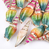 Spray Painted & Electroplate Spiral Shell Big Pendants SSHEL-T010-05A-1