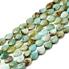 Natural Chalcedony Beads Strands G-B159-A07-2