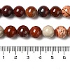 Natural Red Snakeskin Jasper Beads Strands G-H298-A02-04-5
