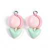 Resin Pendants LS-RESI-I061-04A-1