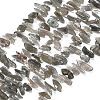 Natural Labradorite Beads Strands G-Z124-C01-01-2