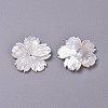 Natural White Shell Beads BSHE-XCP0001-84-2