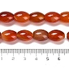 Natural Agate Beads Strands G-B079-E01-01A-5