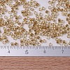 MIYUKI Delica Beads SEED-MY11-DB0901-4