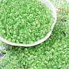 Transparent Inside Colours Glass Seed Beads X1-SEED-A032-04C-1