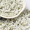 Two Tone Baking Paint Glass Seed Beads SEED-F005-01A-10-1