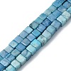 Natural Howlite Beads Strands G-C135-E03-01-1