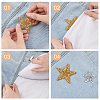 9Pcs 9 Style Star Hotfix Rhinestone DIY-FG0003-84-3