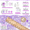 Transparent Spray Painted Glass & Acrylic Beads Kits GLAA-NB0001-82-2