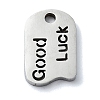 Non-Tarnish 304 Stainless Steel Charms X-STAS-C097-41P-1