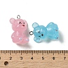 Acrylic Pendants OACR-Z014-07-3