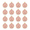 Golden Plated Alloy Enamel Charms LS-ENAM-S118-07H-2