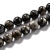 Natural Glaucophane Beads Strands G-L574-01C-1