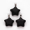 Star Natural Black Stone Pendants G-Q367-23-1