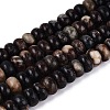 Natural Biotite Beads Strands G-N367-02A-15-2
