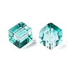 Baking Paint Transparent Glass Beads DGLA-N005-01A-04-3