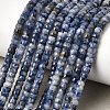 Natural Blue Spot Jasper Heishi Beads Strands G-A299-A14-01-1