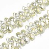 Electroplate Glass Beads Strand EGLA-S188-26-B02-1