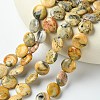 Flat Round Natural Crazy Lace Agate Beads Strands G-S110-05-3