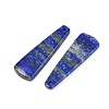 Natural Lapis Lazuli Pendants G-B187-01B-03-2