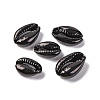 Baking Paint Cowrie Shell Beads SSHEL-M023-01B-1