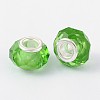 Handmade Glass European Beads GPDL25Y-17-2