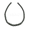 Electroplated Shell Pearl Graduated Beads Strands BSHE-C011-04-02-5