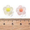 Frosted Transparent Acrylic Beads OACR-A032-12A-3