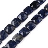 Natural Sodalite Beads Strands G-T138-169-4