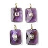 Natural Amethyst Pendants G-I391-03G-02-1