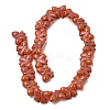 Painted Glass Beads Strands GLAA-Z021-02-2
