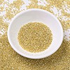 MIYUKI Delica Beads X-SEED-J020-DB0042-2