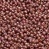TOHO 6/0 Round Beads X-SEED-TR06-1201-3
