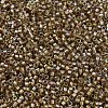 MIYUKI Delica Beads SEED-X0054-DB2396-3
