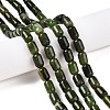 Natural Canadian Jade Beads Strands G-G980-49A-2