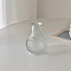Mini Glass Vase BOTT-PW0011-12C-1