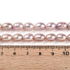 Natural Cultured Freshwater Pearl Beads Strands PEAR-N012-AA-03-5