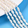 Natural Cultured Freshwater Pearl Beads Strands PEAR-N014-04H-1